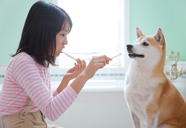 予防歯科に注力